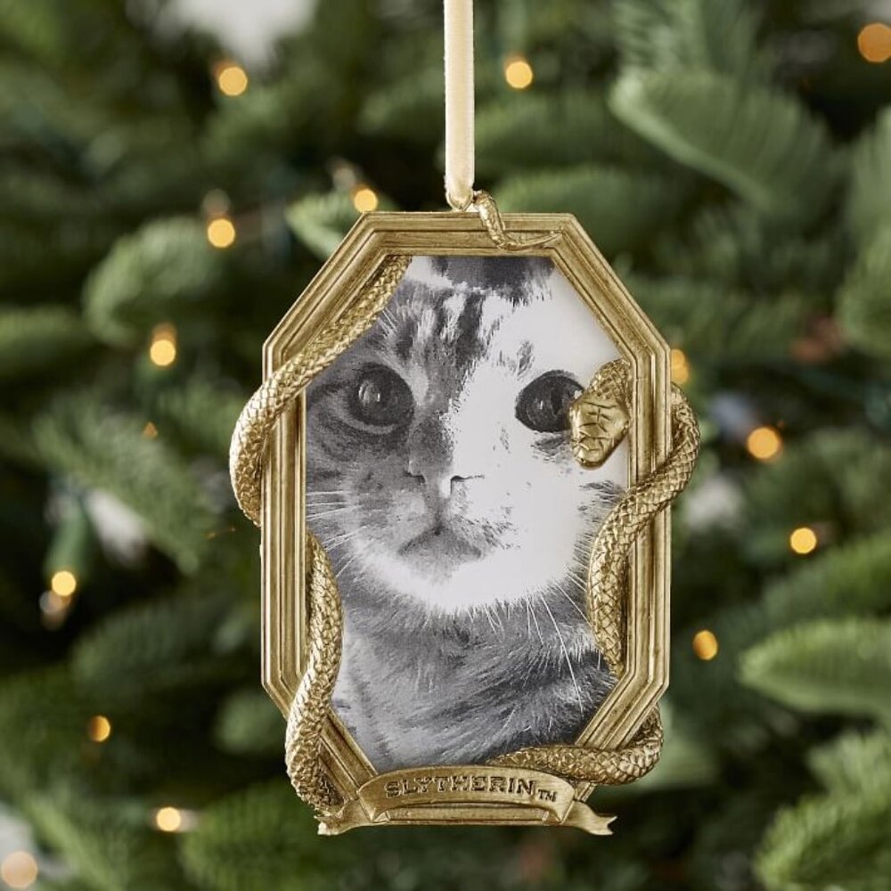 Harry Potter™ Slytherin™ House Photo Frame Ornament Pottery Barn